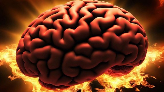 Brain maker – vpliv mikrobioma na možgane