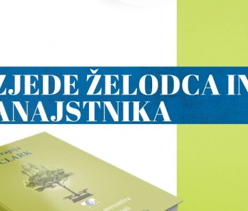 Protokol razjede želodca in dvanajstnika