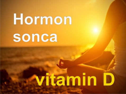 Pomembnost vitamina/hormona D