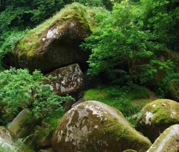 Minerali – anorganske in organske mineralne spojine