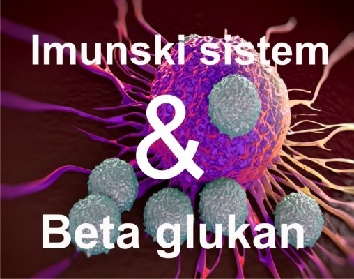 Imunski sistem in beta glukan