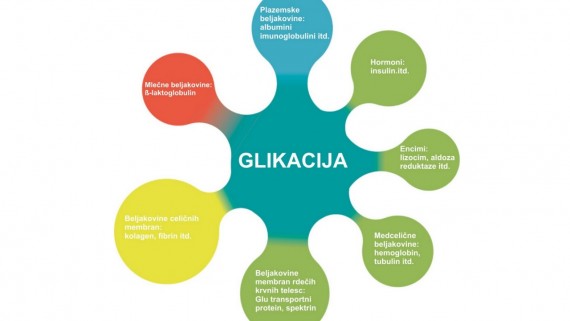 Glikacija – dejavnik staranja?