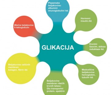 Glikacija – dejavnik staranja?