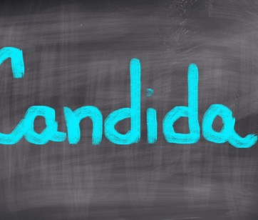 Candida Albicans – sovražnica ali prijateljica?
