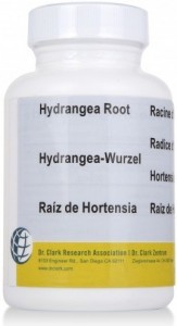 HORTENZIJA (HYDRANGEA), 335mg (100 kapsul)