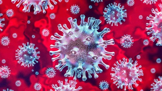 Mitohondriji in koronavirus – povezava z vitaminom C (askorbinsko kislino)
