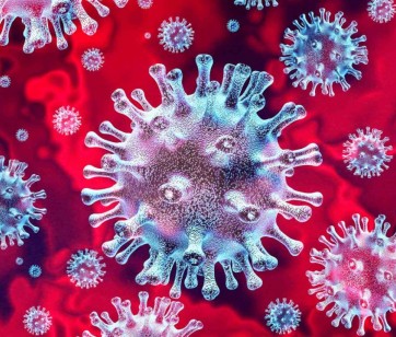 Mitohondriji in koronavirus – povezava z vitaminom C (askorbinsko kislino)