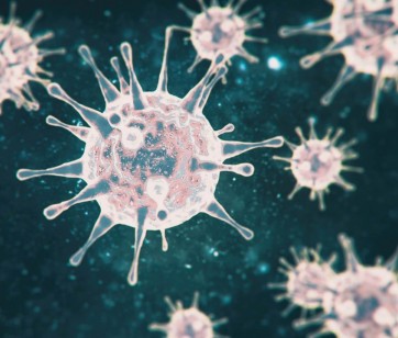 Korona virus