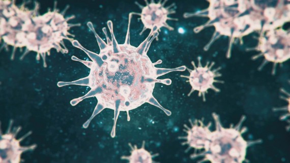 Korona virus