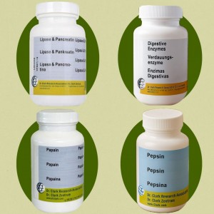 Prebavni encimi – lipaza, pankreatin, papain in pepsin | DrClark.si
