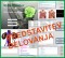 Predstavitev delovanja